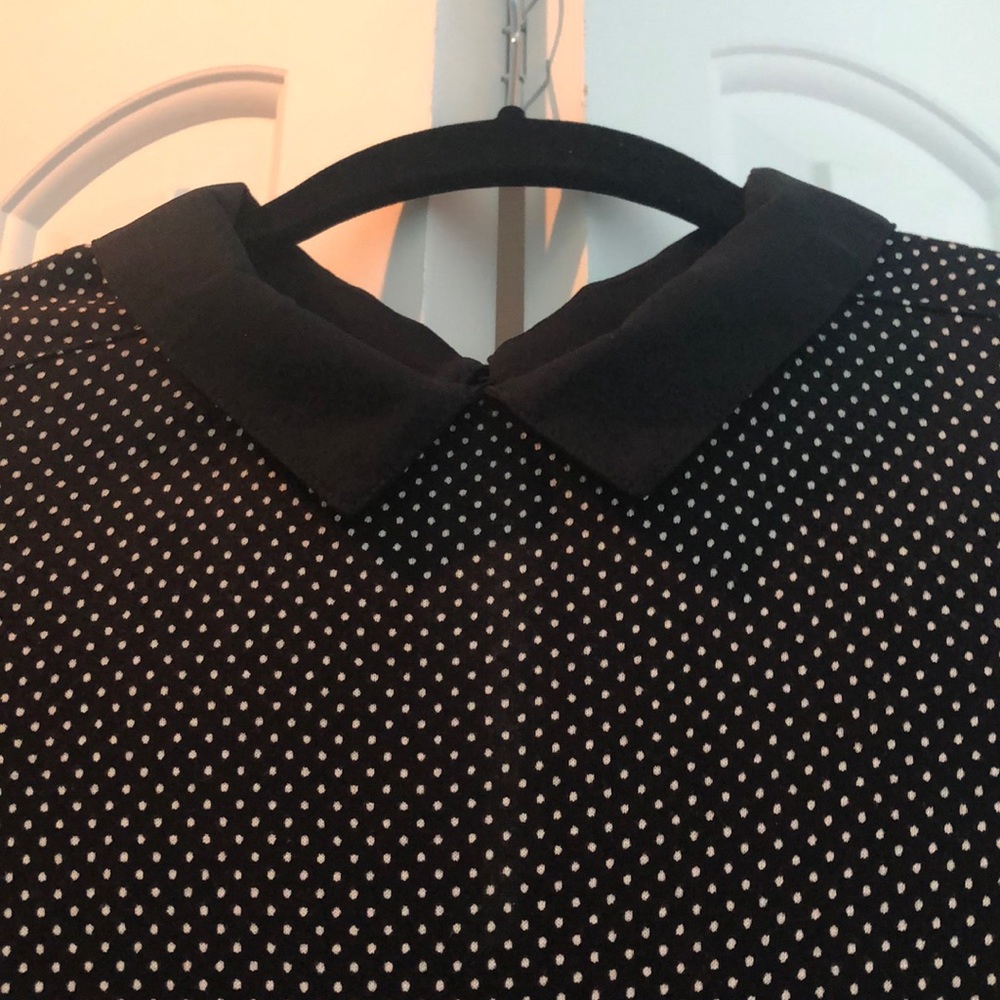 LBD French Connection Peter Pan Collar polka dot
